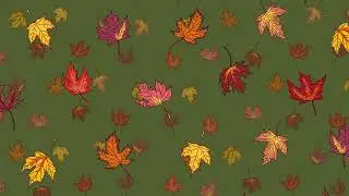 Animated, Falling, Sugar Maple Leaves - Looping Background / Screensaver 30 minutes, Ultra HD 4K