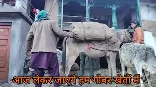 हमारी संस्कृति ही हमारी पहचान