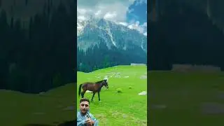 beautiful scenery swat mashallah