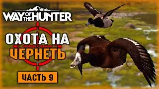 ОХОТА НА МАЛУЮ МОРСКУЮ ЧЕРНЕТЬ! | Way of the Hunter 🐻 | Часть #9