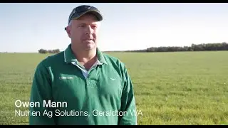 Hear what growers have to say about Luximax herbicide&rsquo;s performance
