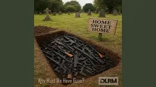 Why Must We Have Guns?