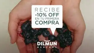 Te damos la bienvenida a dilmun.mx con un 10% de descuento en tu primera compra.