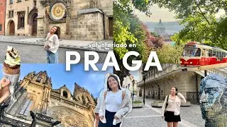UN D&Iacute;A DE VOLUNTARIADO EN PRAGA | Worldpackers 