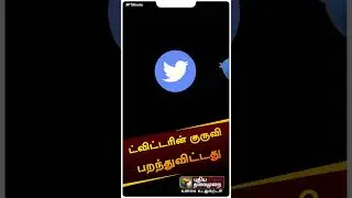 Twitter's sparrow has flown | Twitter Logo #shorts
