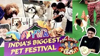 PET FESTIVAL / PET LOVERS / SARAVEDISAGO