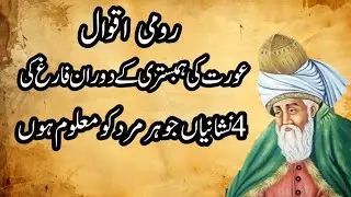 Rumi nasehat | Part 92| Rumi aqwal In Urdu   Hindi| Rumi life Quotes Rumi Urdu