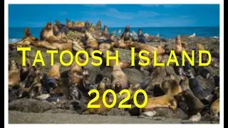 Tatoosh Island 2020