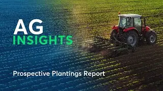 Ag Insights: March Prospective Plantings