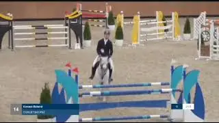 😍😍Cornet du Lys x Caretano Z - 2017. - gelding  FOR SALE!  ph/wh: +36704153312