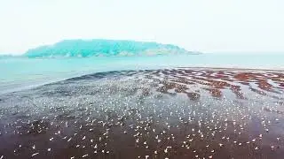 Alibaud Drone Shots | Revdanda | Seagull | Areal View
