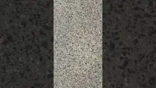 Flooring ~ Art Gallery of NSW, Naala Badu, North building, Lower Level 2, Sydney, Australia