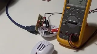 Do Electronic Pest Repellants Work? An Inside Look