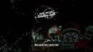 Safari Lights - Enchanting Xmas Light Journey in Niagara!