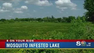 City cleaning up overgrown lake after 8 On Your Side report