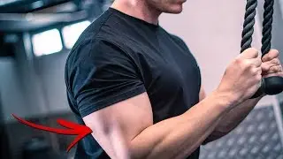 HAZ ESTO PARA TRICEPS GRANDES (3 CLAVES)