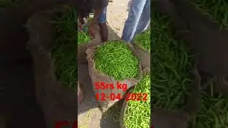 Today light green chilli rate in bowenpally market hyderabad. 12-04-2022.