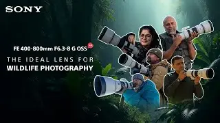Five eminent wildlife photographers, five different locations, ONE Sony lens📸