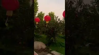 Cảnh đẹp miền T&acirc;y #mientay #vuive #tet