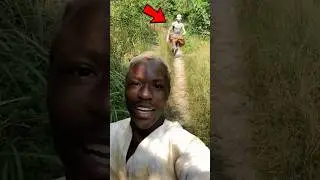 Scary Moments 😨