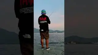 Ajing fishing #ajing  #fishing #lightgame #catchandrelease #fyp
