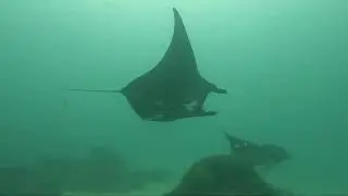 Raja Ampat 2024
