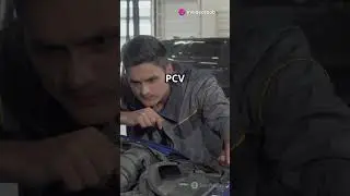 Peugeot 1.2 PureTech Engine What You Need to Know! #PureTech #Peugeot #Citro&euml;n #Vauxhall #Opel
