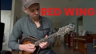 Solo Mandolin Fiddle Tune Improv - Red Wing