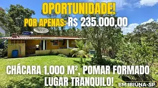 Linda chácara 1000 m² Pomar formado por 235 mil reais IBIÚNA/SP Oportunidade!