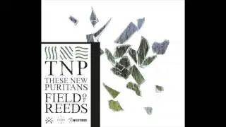 These New Puritans - Organ Eternal