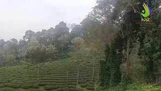 Wallardie estate Bike road travel view