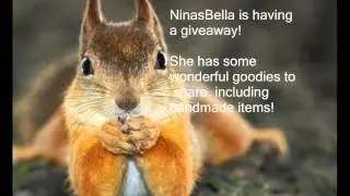 NinasBella is Having a Giveaway!