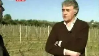 Vinicola de Nelas