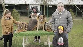 N&eacute;met juh&aacute;szkutya fajtament&eacute;s - a p&eacute;csi 