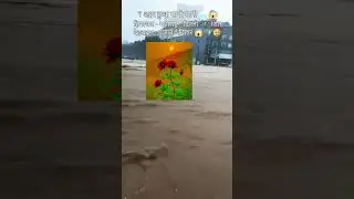 Punjab ki madad Karen sabhi @panjab