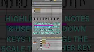 Easy way to keep your melodies within any chosen scale #abletontips #musicproduction #ableton
