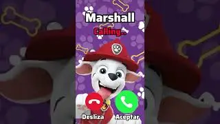 Marshall Calling.. #pawpatrol #marshall #viral #funny #calling #callingsahasra