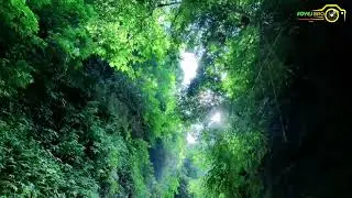 #Debotakhum Bandarban | খুম এর রাজ্য বান্দরবান | Films By Foyej | #shorts