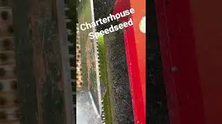 Charterhouse Speedseed Seeder #sportsturf #lawn #turf