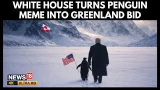 White House Posts Viral Penguin Meme To Push Greenland Bid Amid Social Media Mockery | 4K