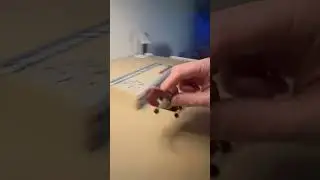 Just for fun #fingerboard #fingerboarding