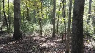0 Price Rd, Newnan, GA 30263