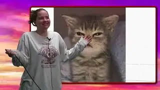 BASH-TV News: 9/2/25