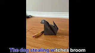 Family activities|Stop Motion Practice|Episode 1 The dog stealing the witches broom