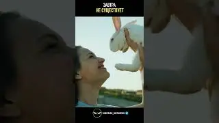 Завтра не существует | Билл Грэм #мудрость