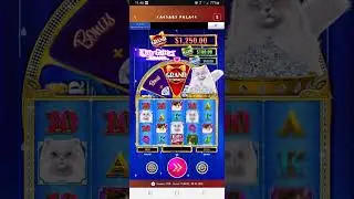 $10 bonus on $25 deposit on kitty glitter grand