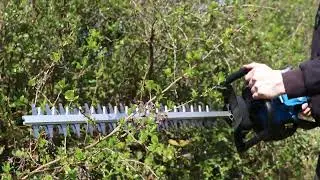 Hyundai HYHT2600X Hedge Trimmer