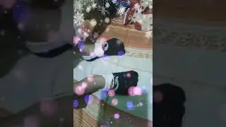 Activity of daily living