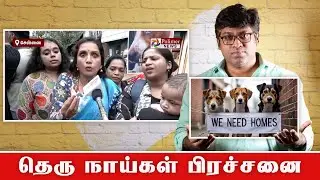 Stray Dog Population Crisis: Public Health, Safety & Wildlife at Risk | Fake Id | Patti Tinkering