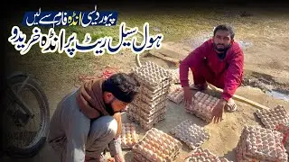 Desi Egg Farming In Pakistan | Hole Sale Rate Egg | How To Start Egg Farming | Punjab Poultry Farm